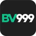 BV999 Game