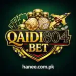 Qaidi 804 Game