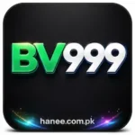 BV999 Game