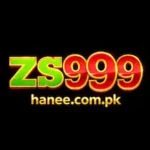ZS999 Game