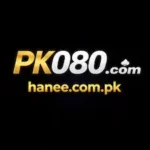 PK080 Game